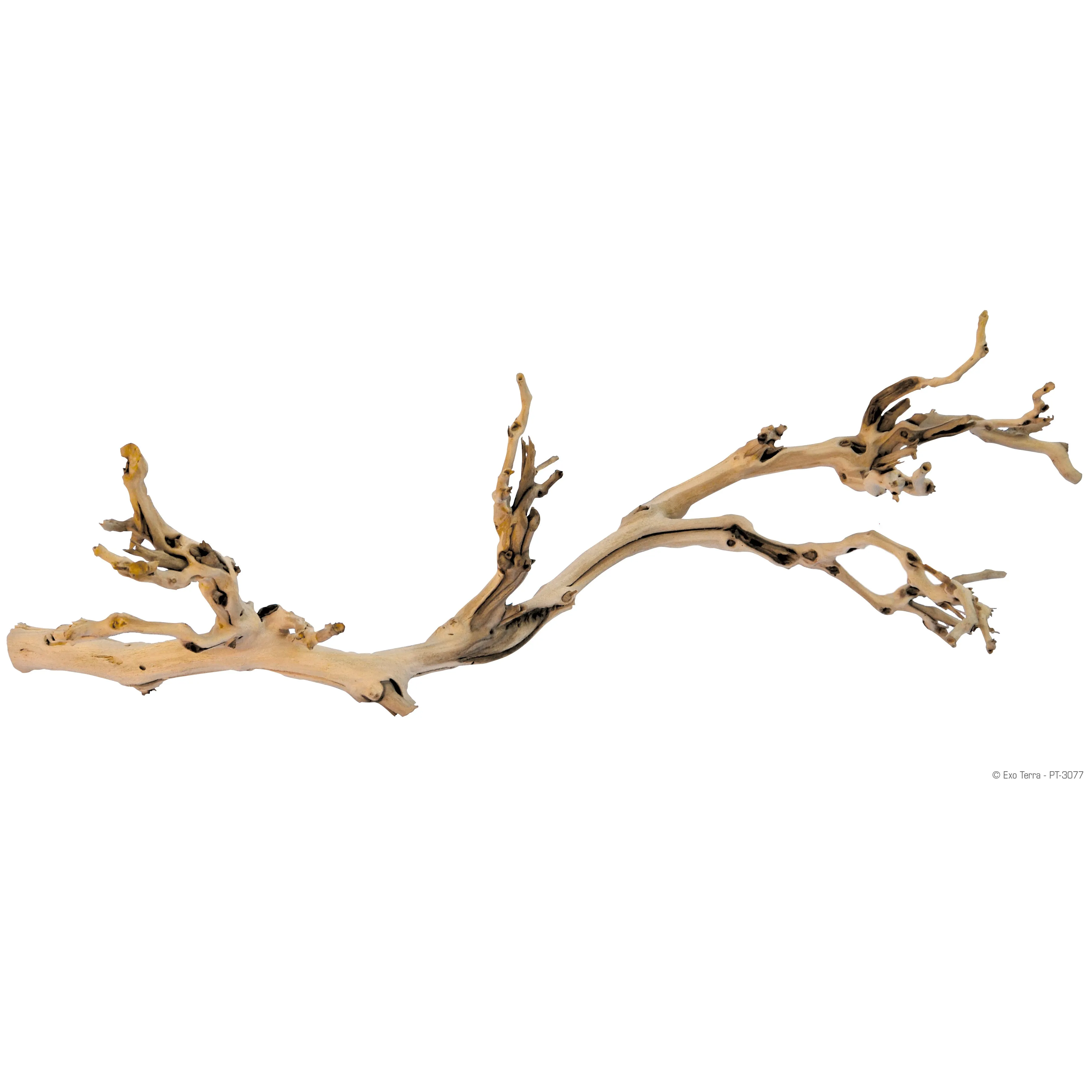 Exo Terra Forest Branch - Sandblasted Grapevine - Small, Medium and Large