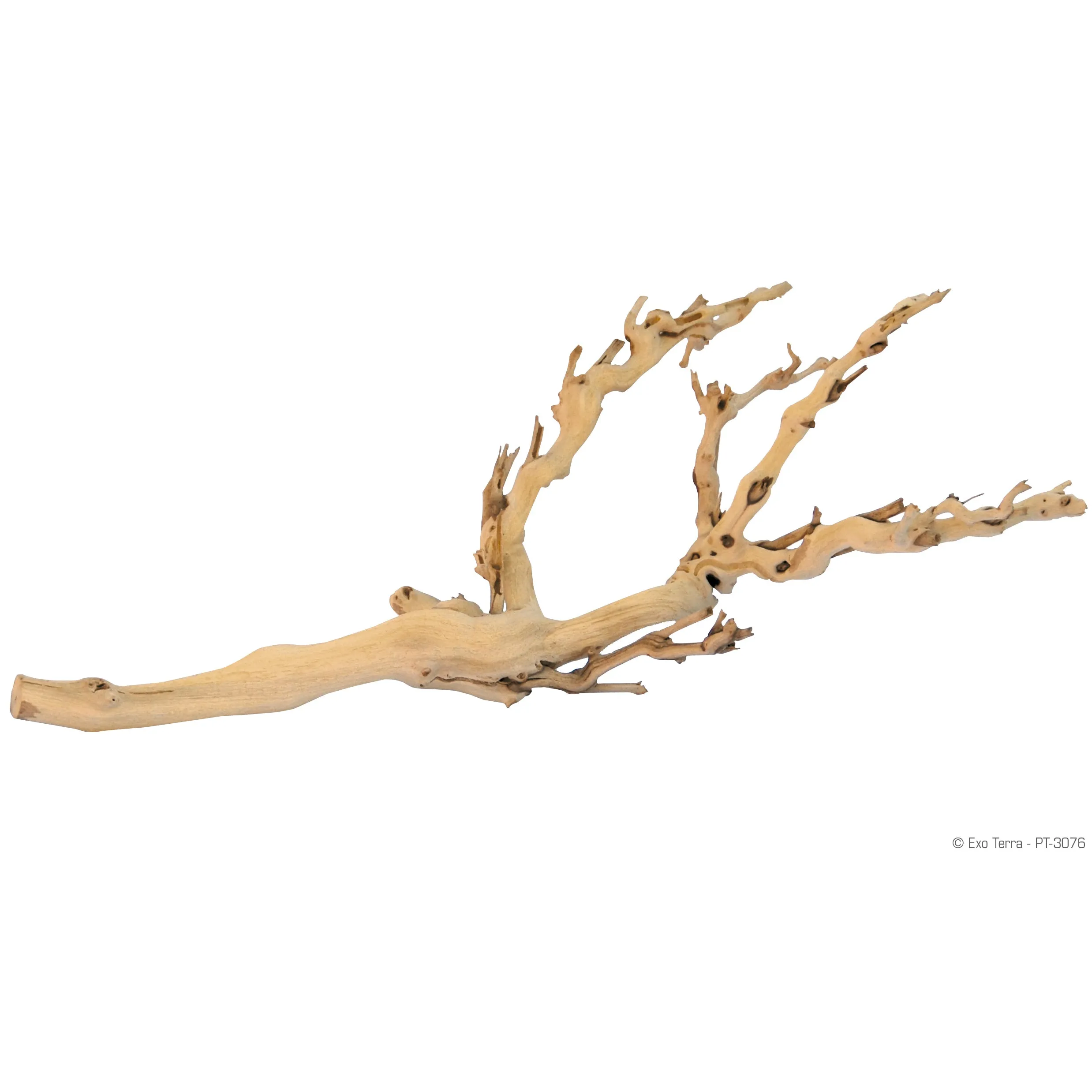 Exo Terra Forest Branch - Sandblasted Grapevine - Small, Medium and Large