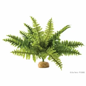 Exo Terra Rainforest Ground Plant Boston Fern Medium (40cm wide)