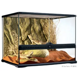 Exo Terra Wide Glass Terrarium - Medium (24 x 18 x 18")