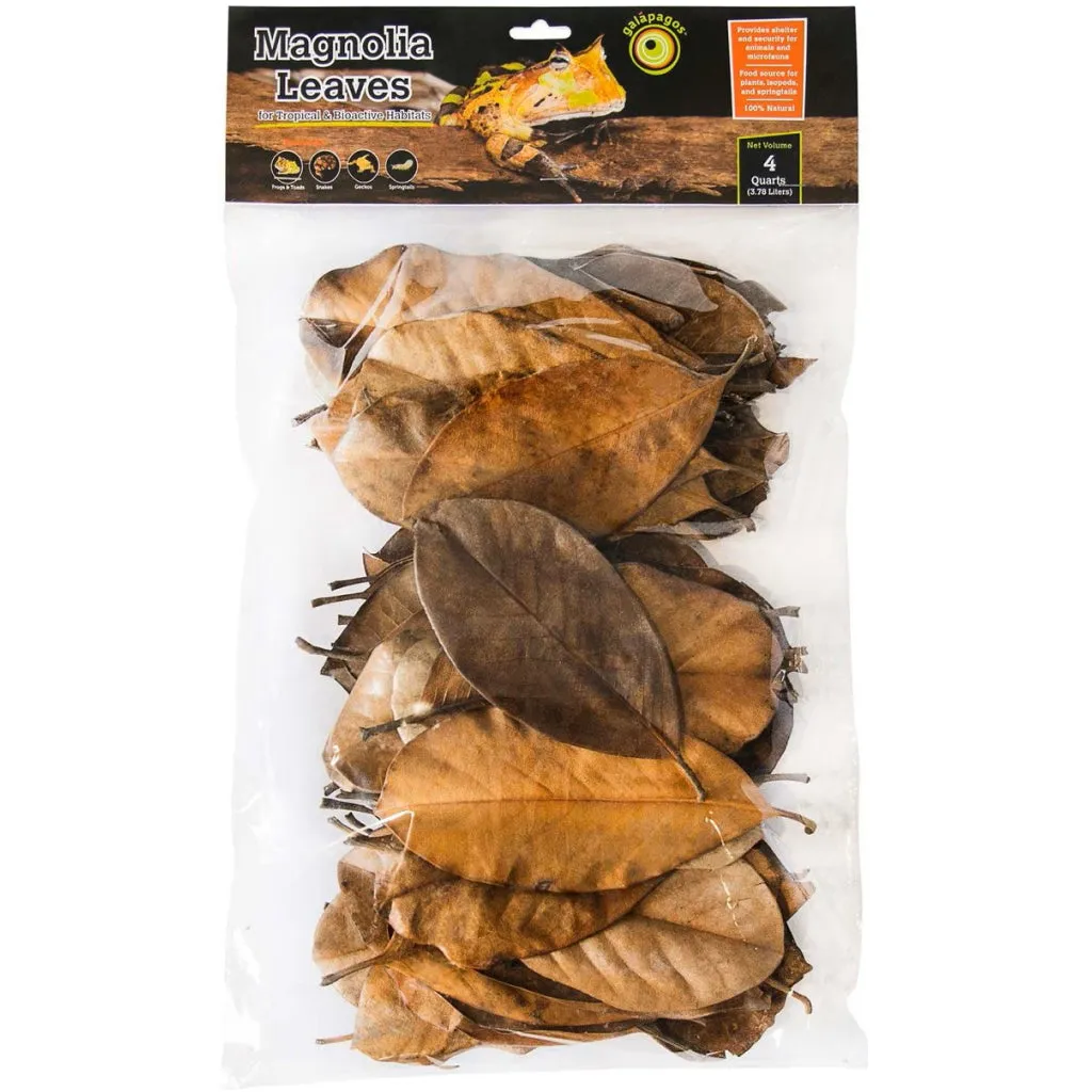 Galapagos Magnolia Leaves for Tropical & Bioactive Habitats (4 qt)