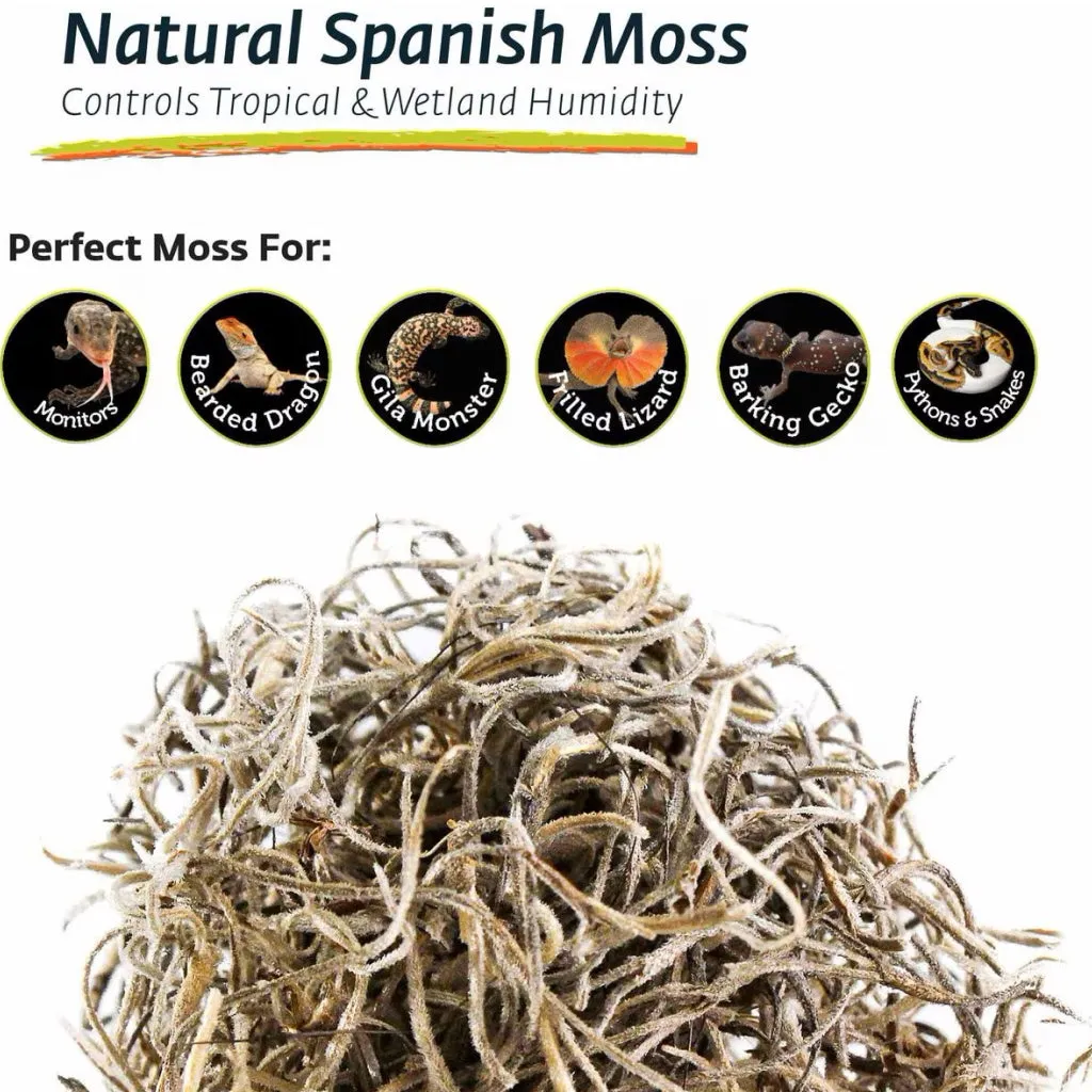 Galapagos Natural Spanish Terrarium Moss Substrate For Reptiles (150 cubic in)