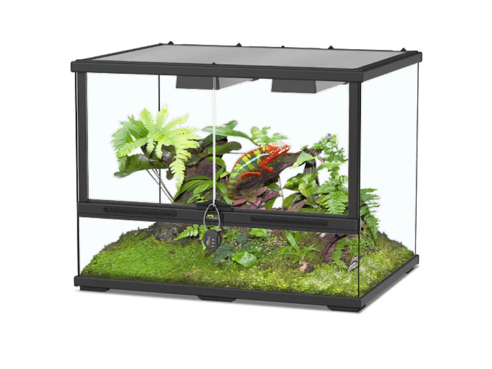 Glass Terrarium 60 X 45 X 45 Cm