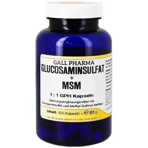 GLUCOSAMINE SULFATE   MSM 1: 1 capsules 120 pcs