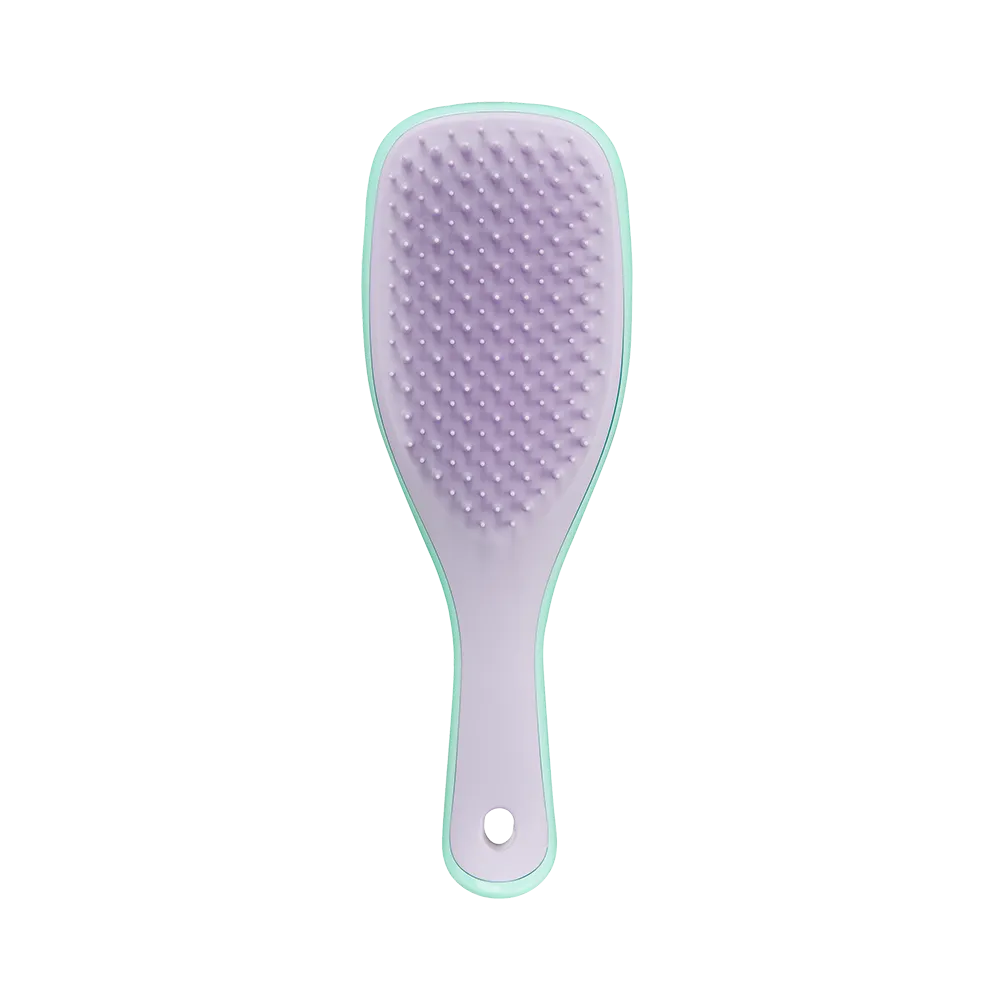 Mini Wet Detangler Mint-Lilac